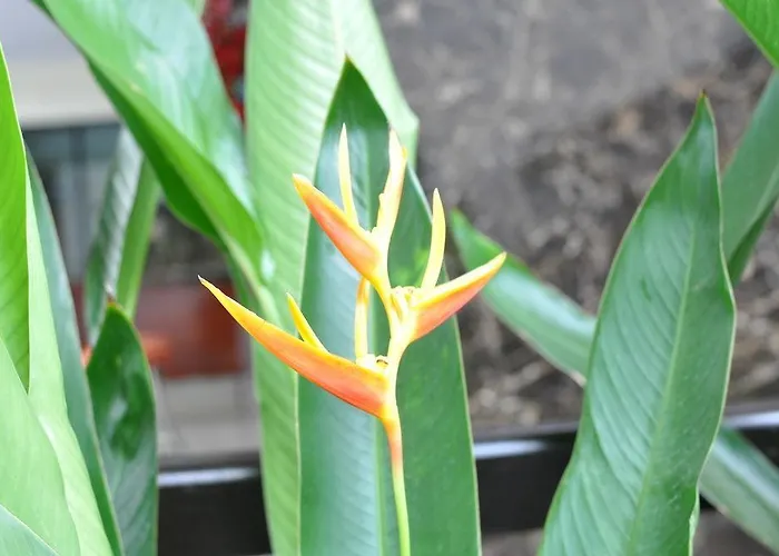 Aparthotel The Bloom @ Suvarnabhumi